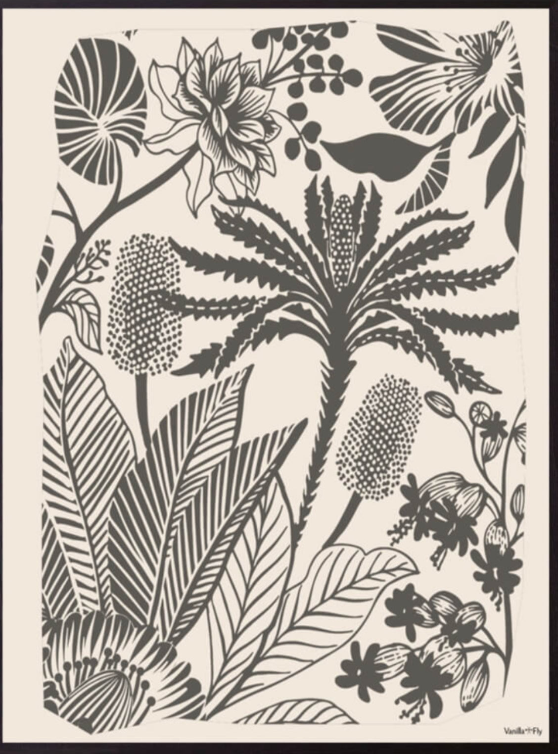 Vanilla Fly | Mynd | Griffin