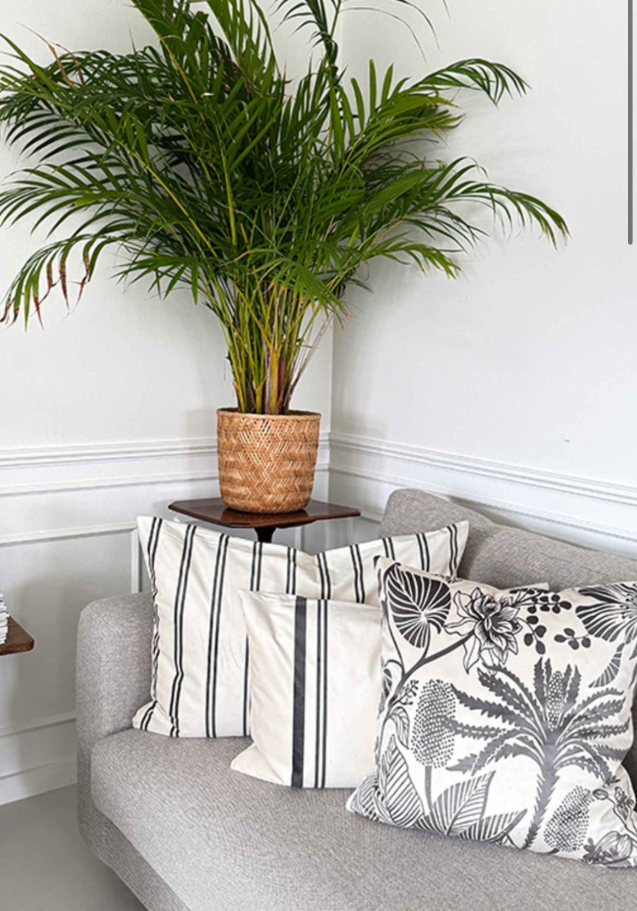 Vanilla Fly | Púði | Dark Shadow