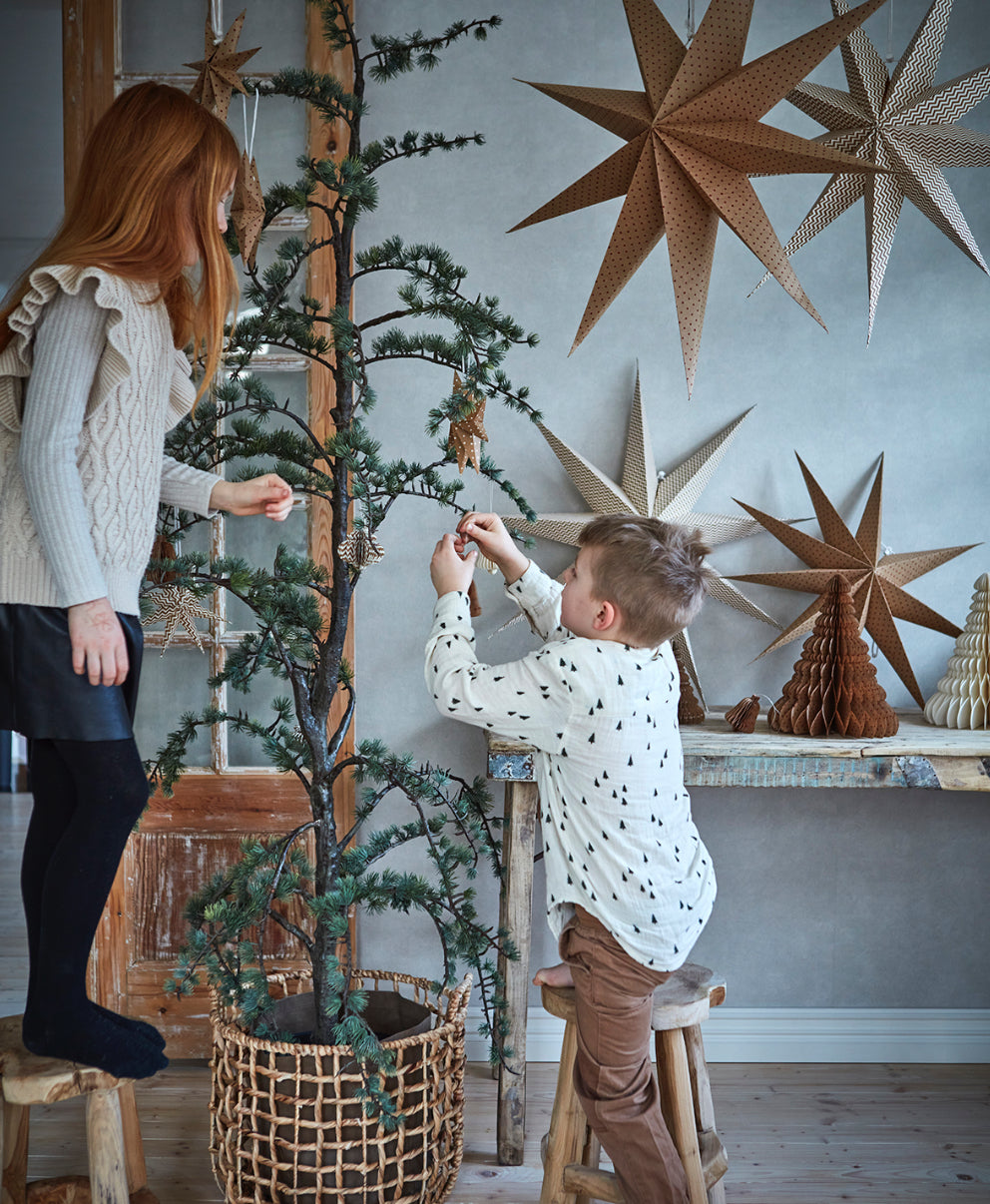 AFFARI OF SWEDEN | Stjarna | Brún og hvít | L