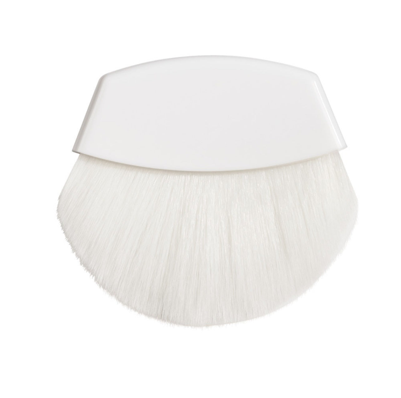 Rosé All Day | Petal Glow Highlighter|Freshly Picked