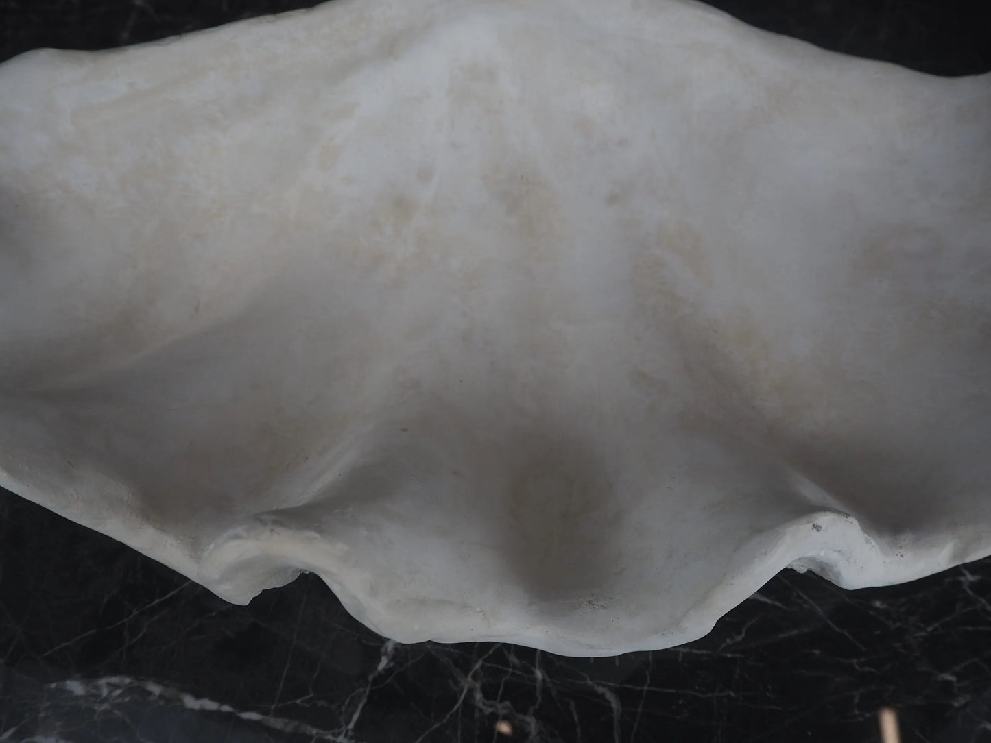 SEKLET | Panay clam shell S