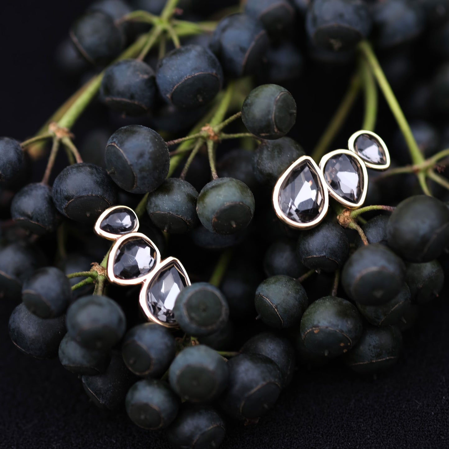 Swan | Crawler eyrnalokkar