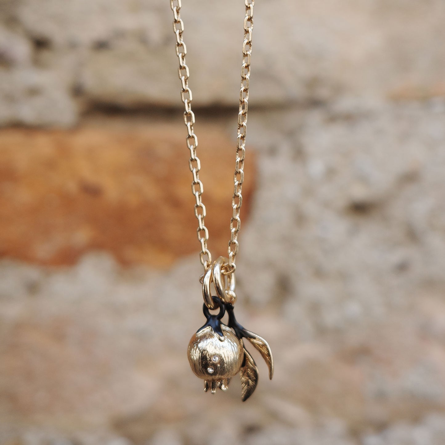 Hálsmen | Rose Hip