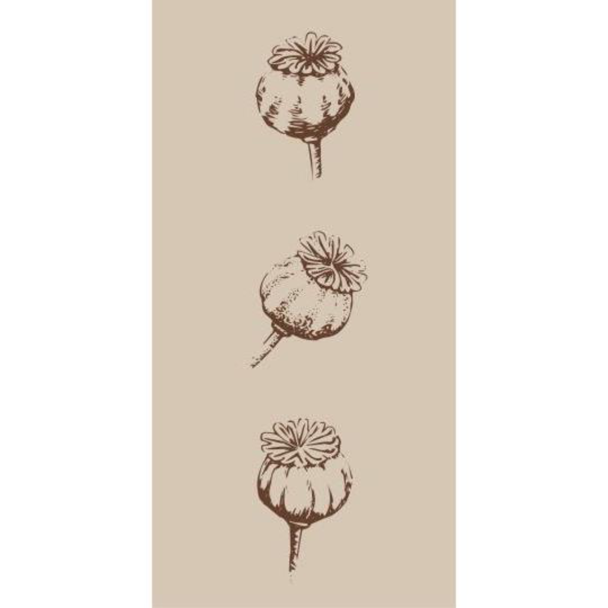 Servíettur | Poppy pods