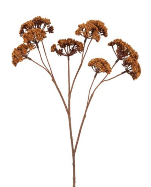 Evpatoria | brún | 57 cm