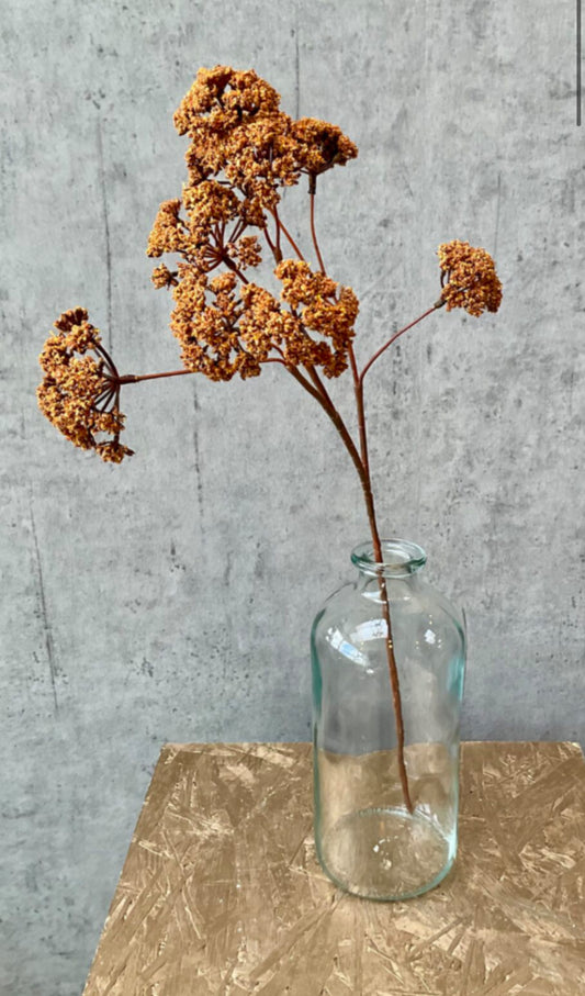 Evpatoria | brún | 57 cm