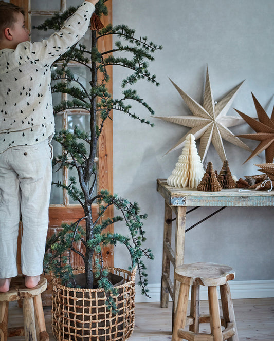 AFFARI OF SWEDEN | Stjarna | Brún og hvít | L