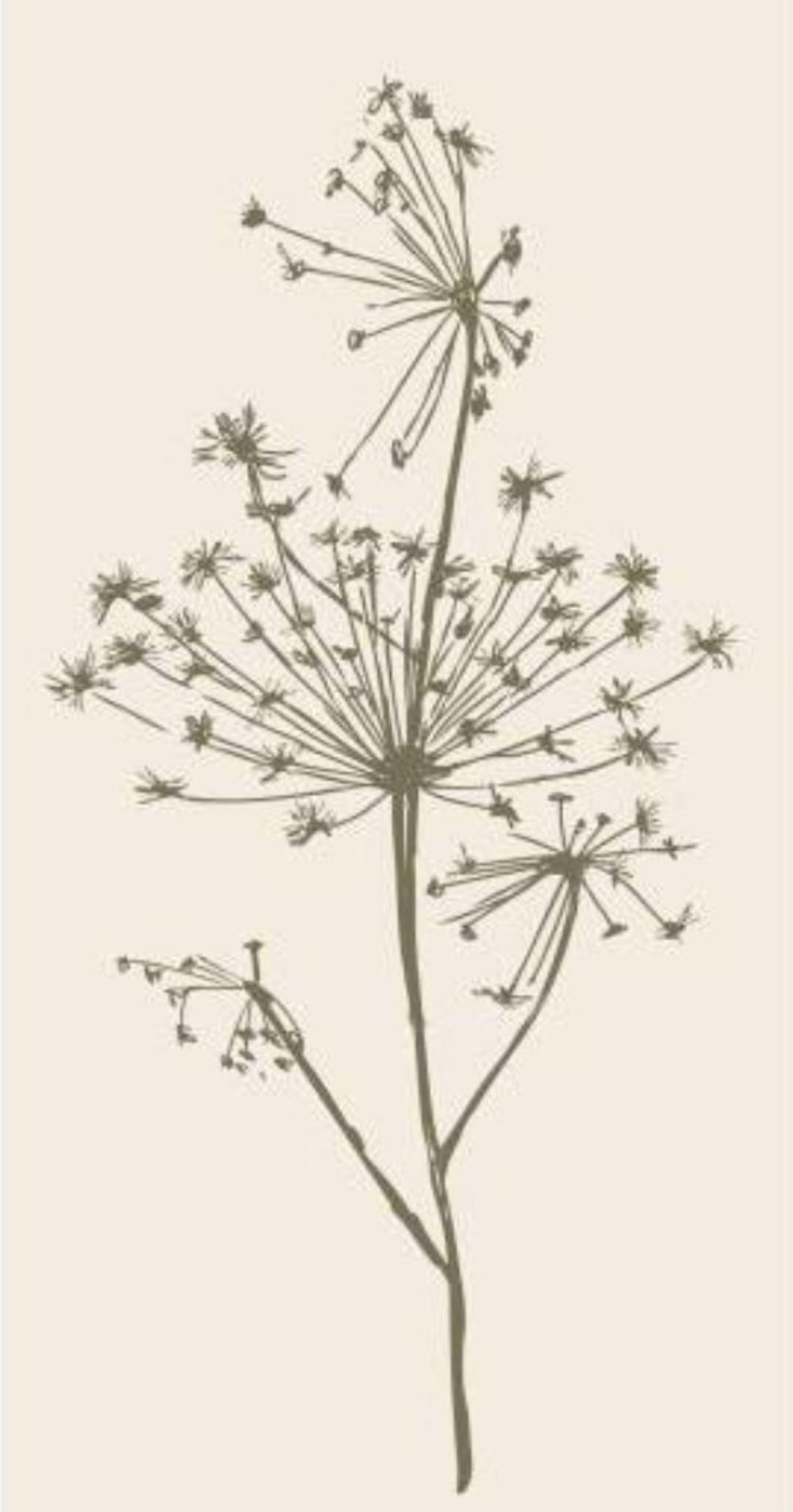 Servíettur | Græn blóm