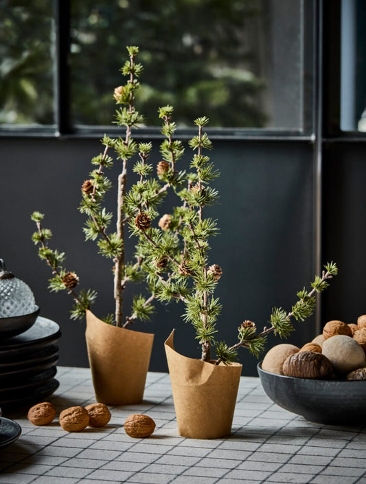 STAY | Jólatré | 50 cm