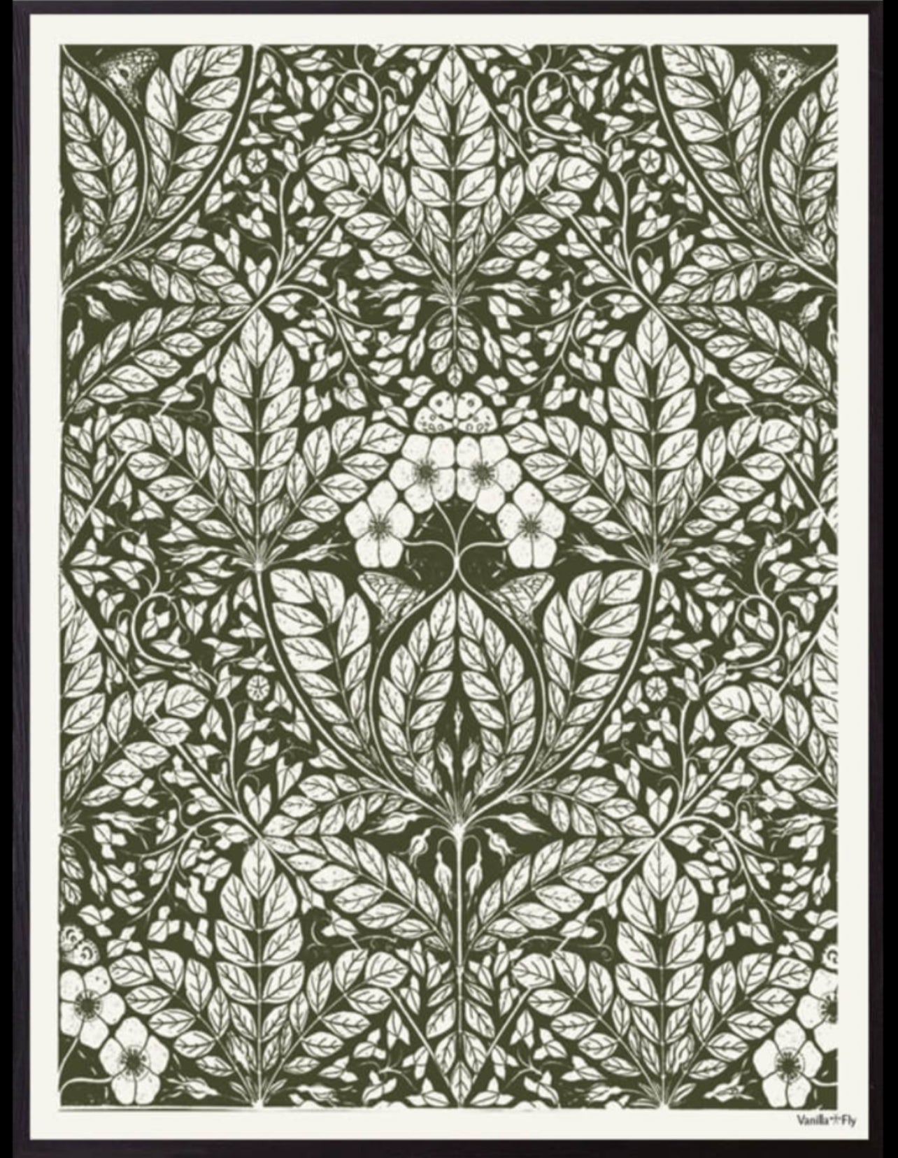 Vanilla Fly | Mynd | Rainforrest