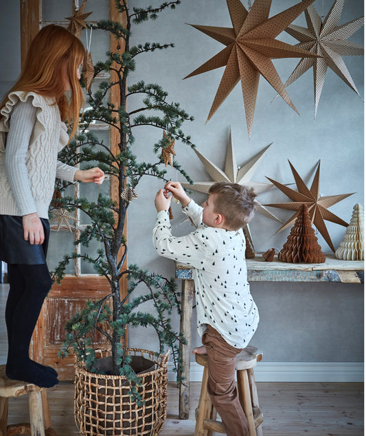 AFFARI OF SWEDEN | Jólastjarna L