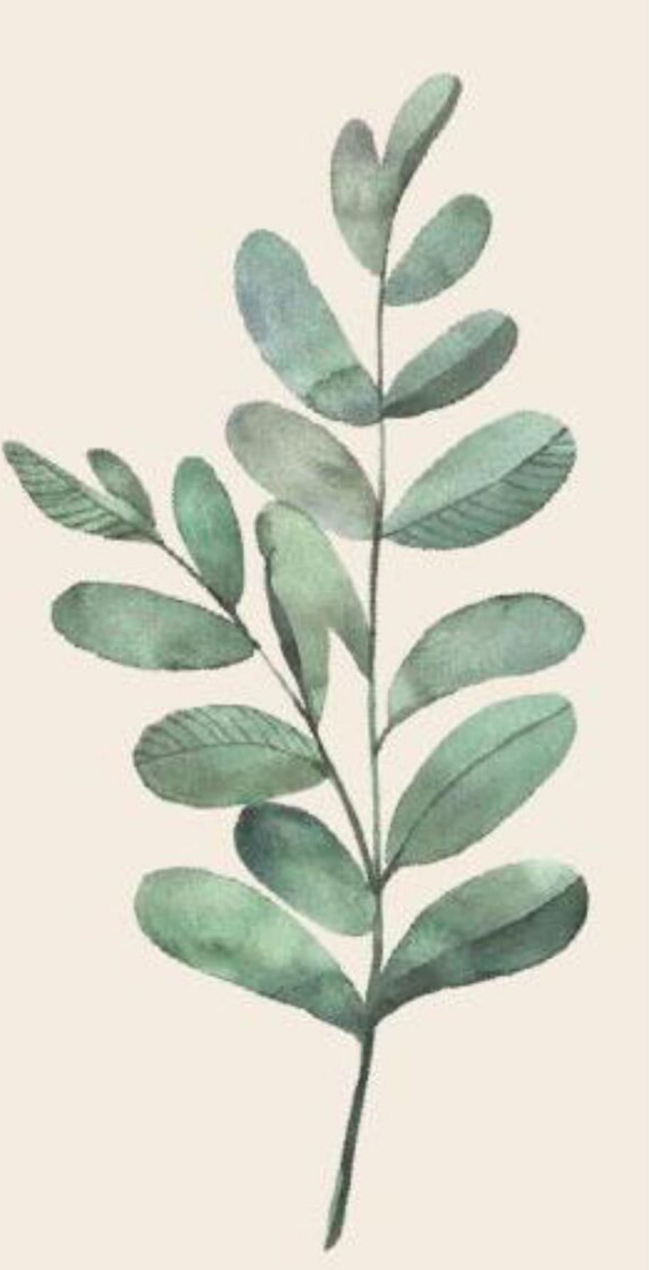 Servíettur | Græn grein