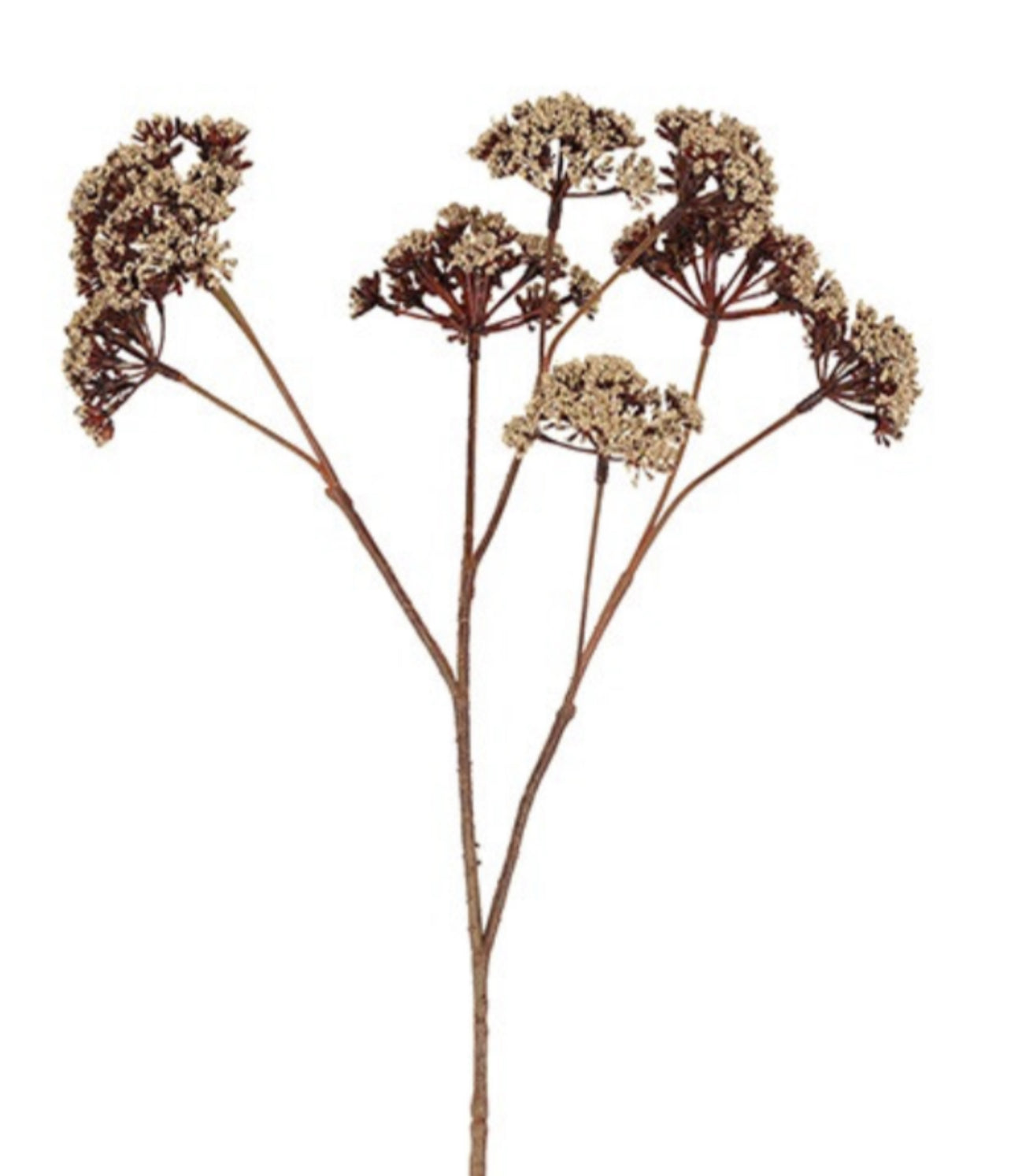 Evpatoria | beige | 57 cm