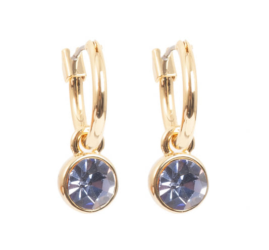 Just Oslo | Eyrnalokkar| Gull m/fjólubl. stein