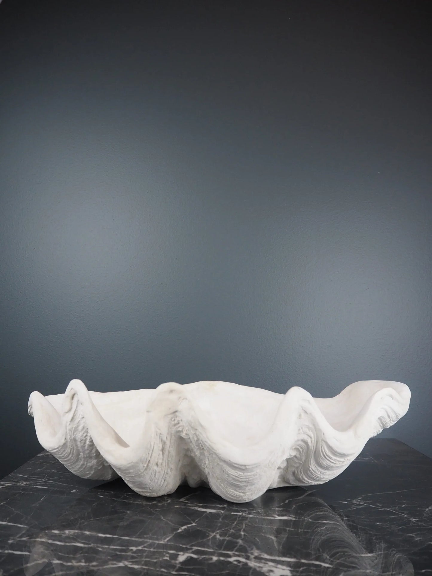 SEKLET | Panay clam shell S