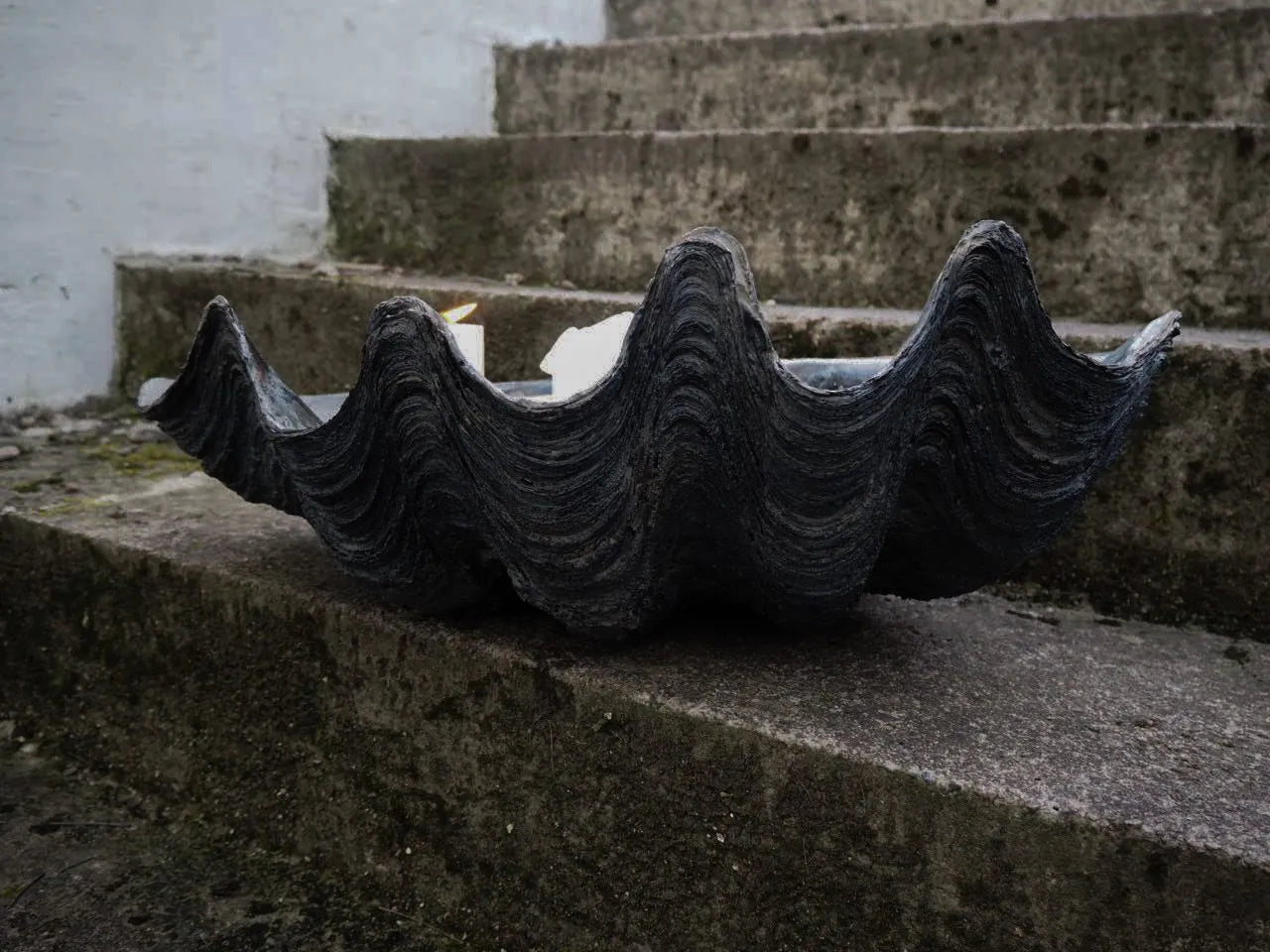 SEKLET | The Puerto Galera Clam shell | Aged black