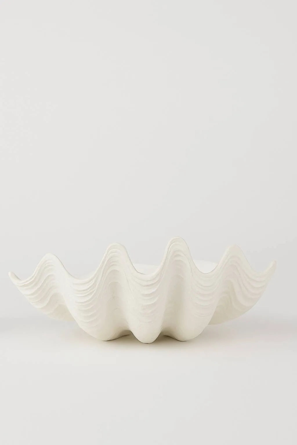 SEKLET | The Puerto Galera clam shell | L