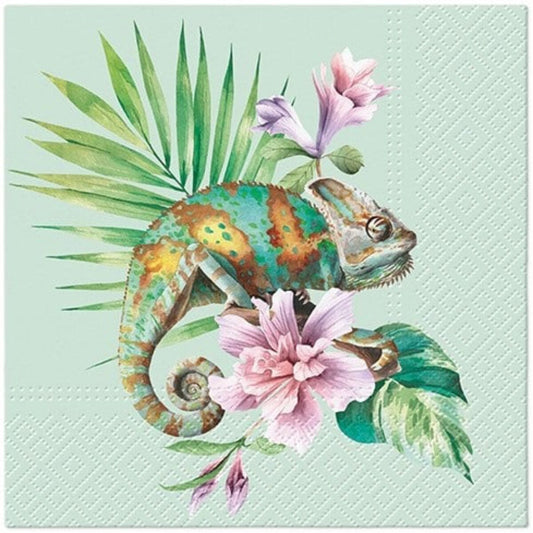 Servíettur | Chameleon