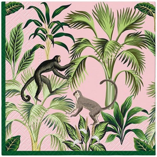 Servíettur | Monkey fun