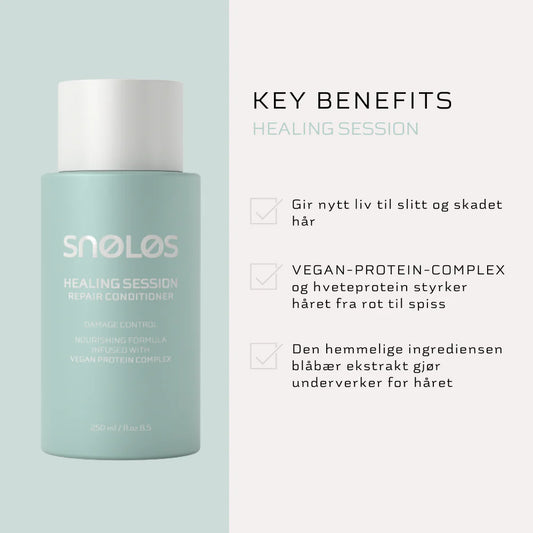 SNØLØS Healing Session Repair Conditions