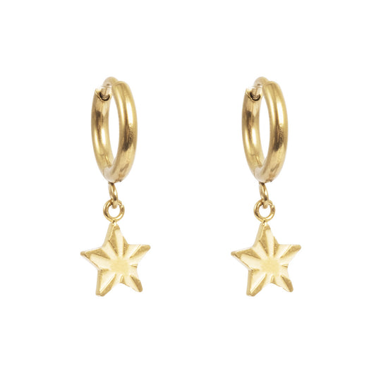 Pure steel | Eyrnalokkar | Stjarna