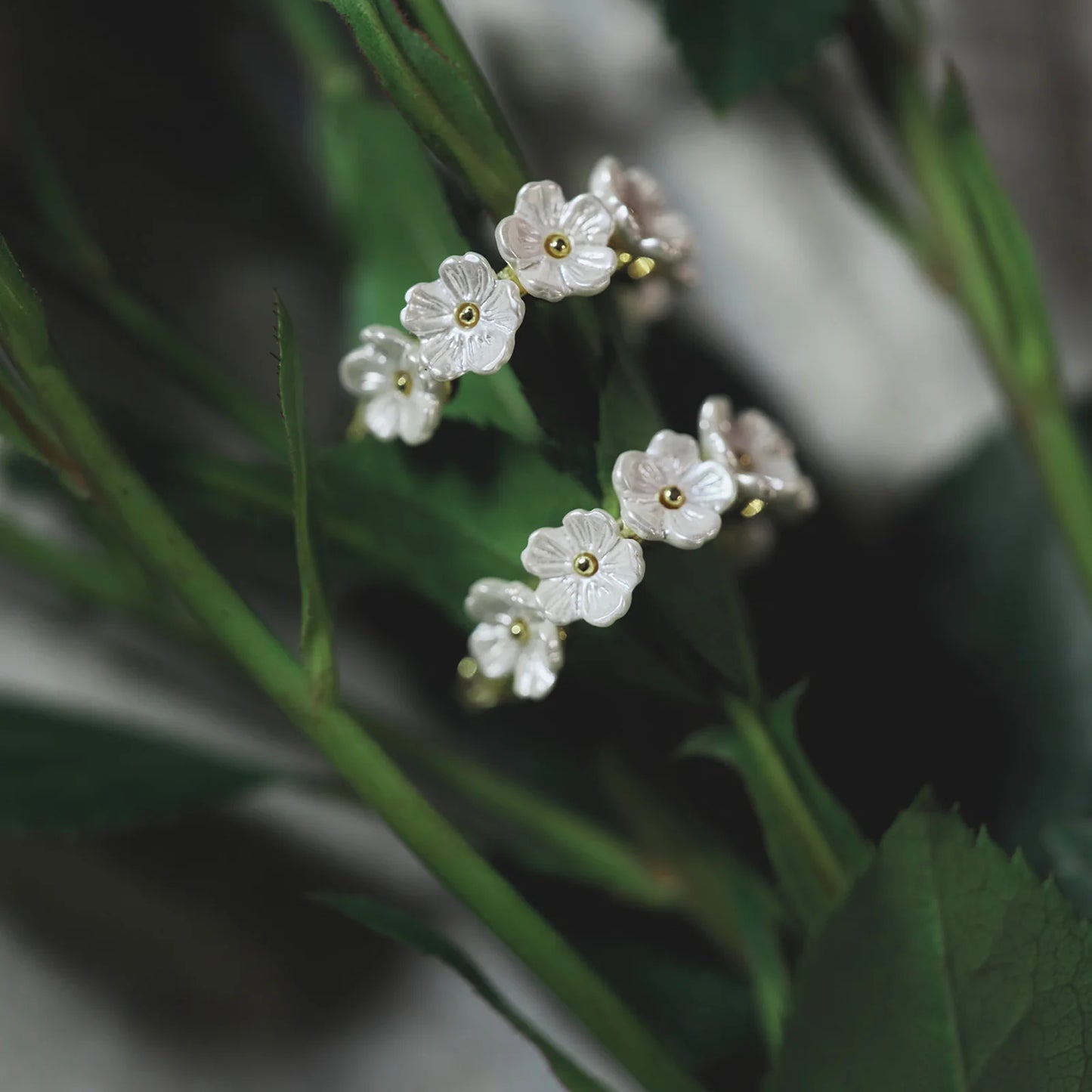 Tone Damli| Eyrnalokkar | Seven Blooms