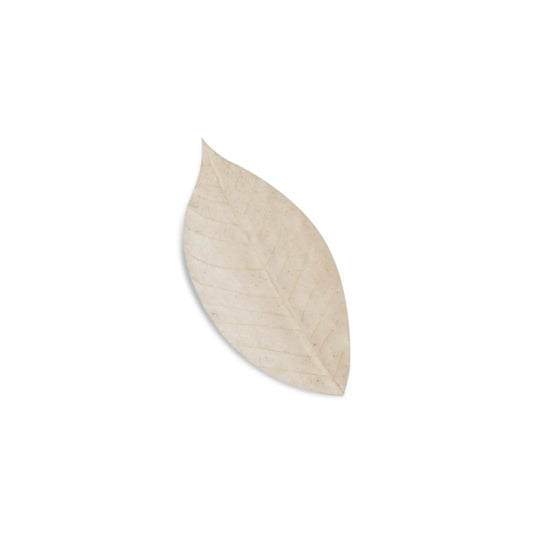 Sápulaufblöð | Lavender