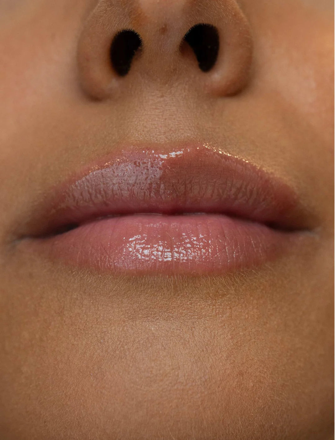 LH | Plush | Gloss | Cuddle