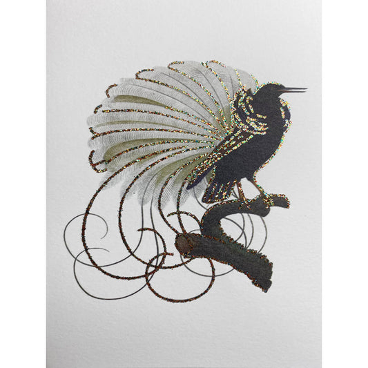 KORT | Fugl á grein, hvítur grunnur